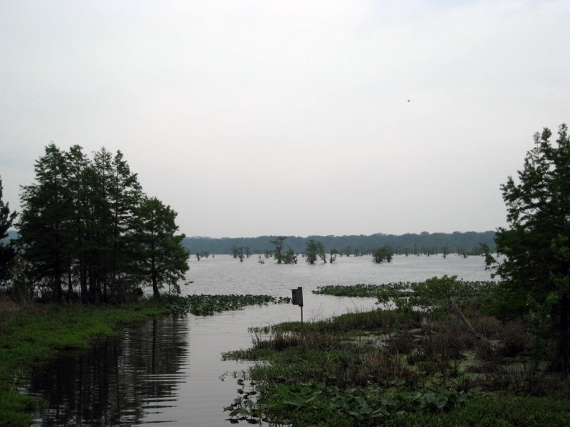 Reelfoot Lake