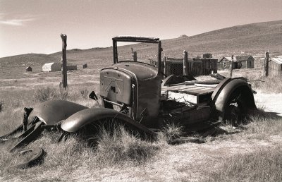 bodie