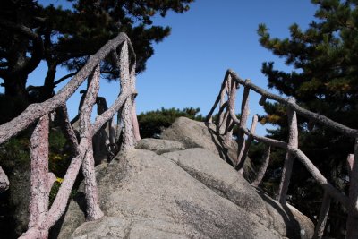 Tricky walkway