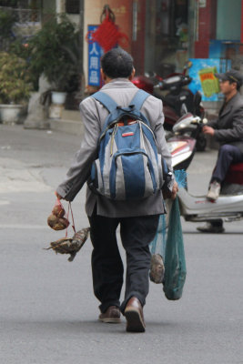 Ugghh! He's carrying home live turtles for lunch!