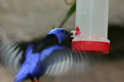 IMG_8641.JPG