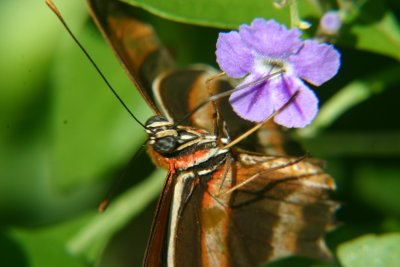 IMG_8674.JPG