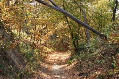 Hitchcock Chute Trail