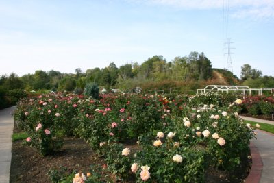 IMG_3743S.jpg