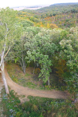 View from Hitchcock Lookout Tower