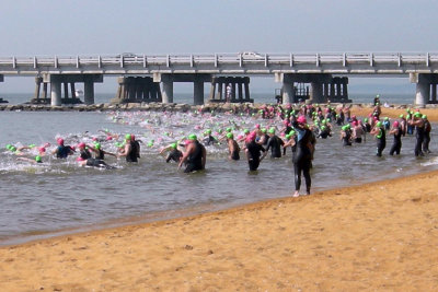 2008 Great Chesapeake Bay Bridge Swim