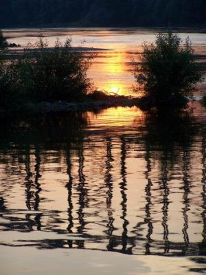 Vistula River.JPG