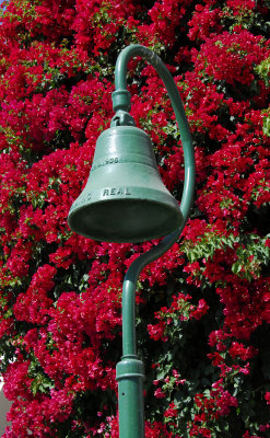 g5/32/671332/3/68428707.lVXW8SCP.jpg