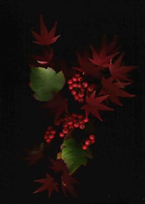 Maple and berries