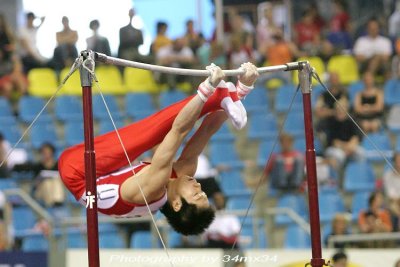 2006 Gymnastic