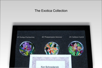 The Exotica Collection Presentation Box and Certificate