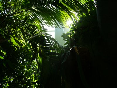 g5/32/845132/3/106502150.j6zL89ow.jpg