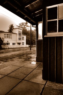 Sheltering from the rain, IOM