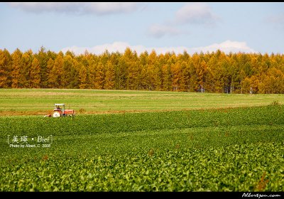 hokkaido_012.jpg
