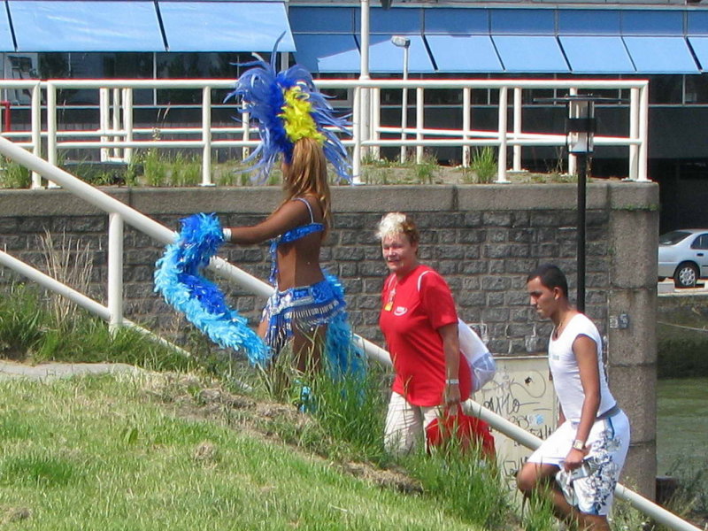 IMG_2549a.jpg