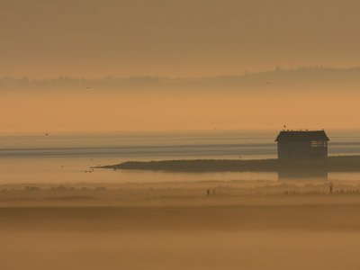 Early morning at Limfjorden