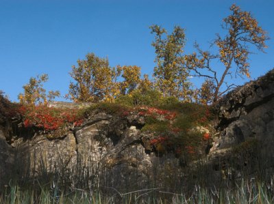 Fiskehlsgraven Flatruet