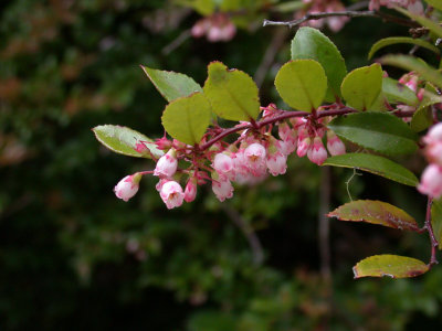 DSCN6100.jpg