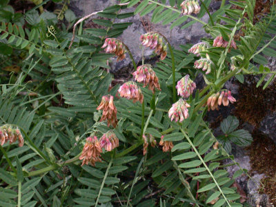 DSCN6142.jpg
