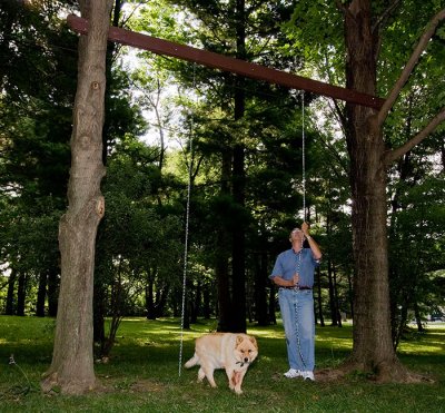 checking swing beam.jpg