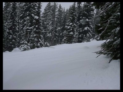 westleg_bypass_ski_trail