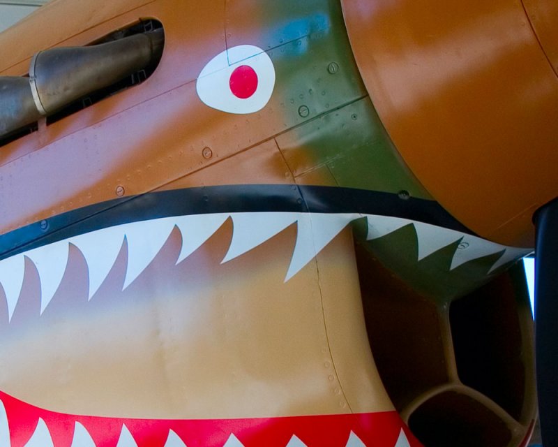 P - 40 Warhawk