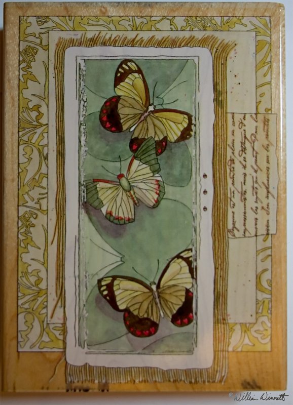 Butterflies Script