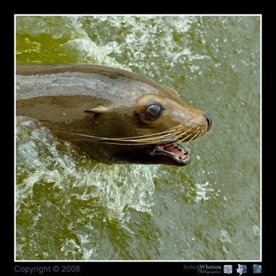 03 Longleat.jpg