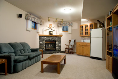 Fireplace and Wet Bar