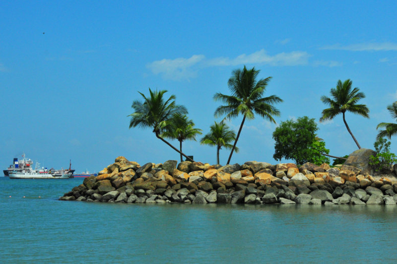 le port vu de santosa