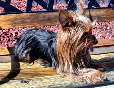  Tiggy in Brookings Oregon