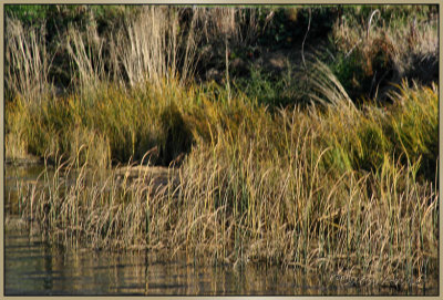 Umpqua River Oregon Coast