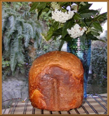 Bread  & Flowers