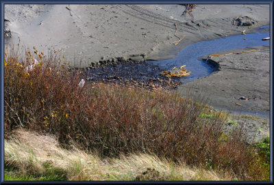 Port Orford8.jpg