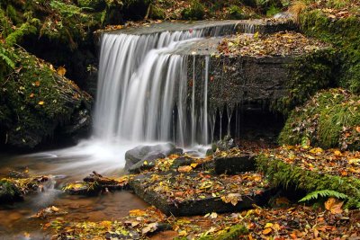 Autumn Waterfall.jpg
