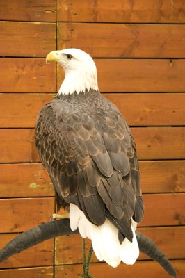 DSC_1683.jpg