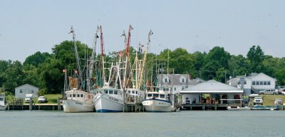 shrimp boats, Sneads Ferry, NC