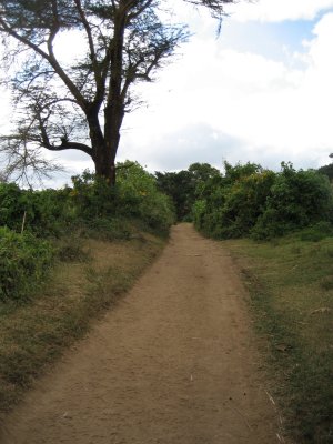The beginning of a 3 hour hike to Pemba's village of Oltulelei.