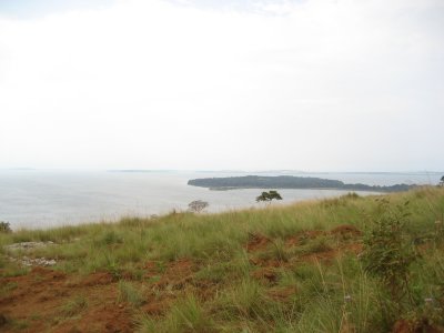 View of some of the Ssese Islands.