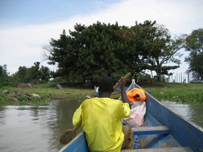 taking a boat ride to see the wildlife on Lake Victoria, just outside Kisumu.