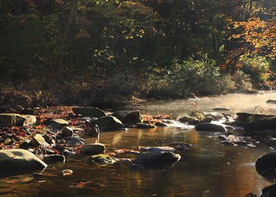 Morning in the Shenandoah