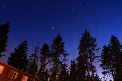 Star trails over the Sequoias