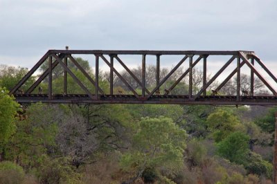 Sabie River Bridge