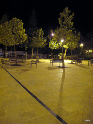 bancos y arboles 