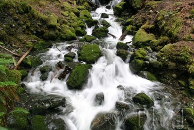 Strathcona Provincial Park  (Vancouver Island)