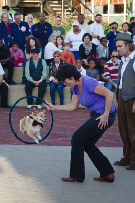 Jumping Through Hoops