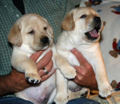 The 2 boys again!