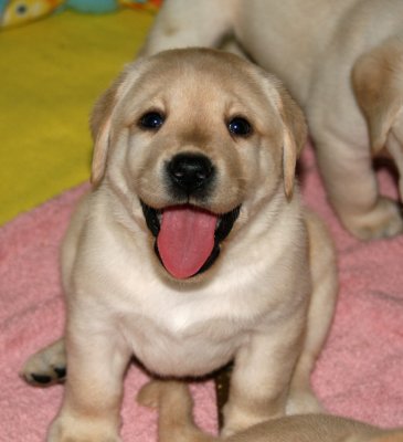 We're 5 weeks old now!