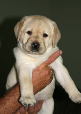 One of the girls!