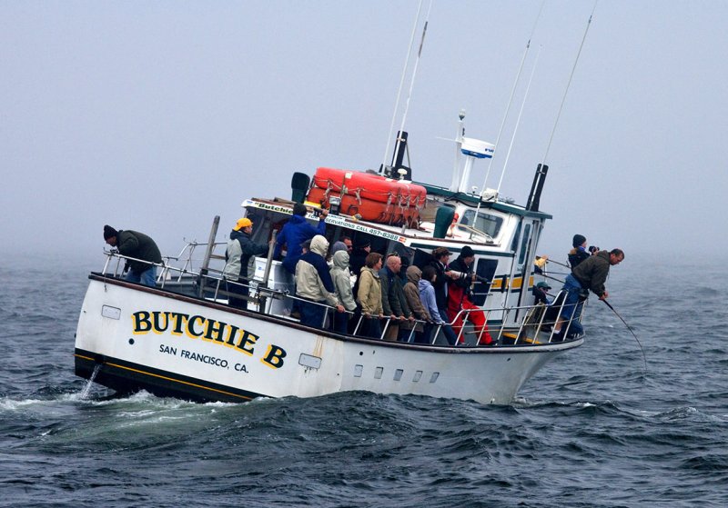 Whalewatch Boat